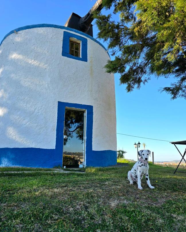 Casal Do Moinho Villa Enxara do Bispo Exterior foto